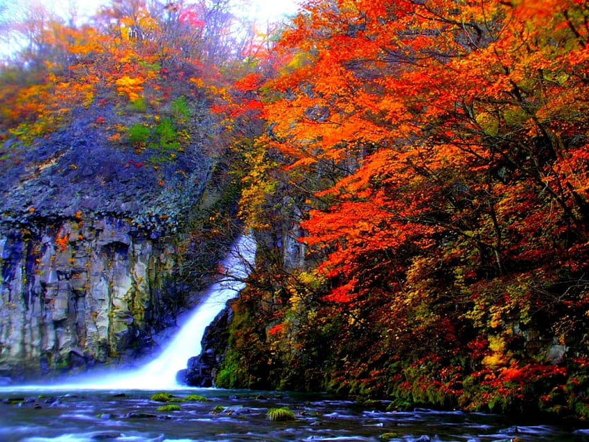 Autumn Falls, trees, waterfall, autumn, nature, lake HD wallpaper