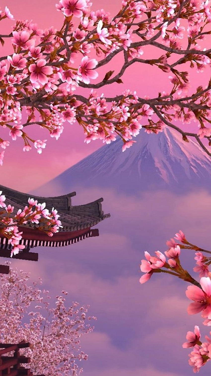 Grupo de flor de cerejeira japonesa, Sakura japonesa Papel de parede de celular HD