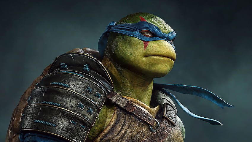 Leonardo Ninja Turtle , Superheroes, , , Background, and, Anime Ninja Turtles HD wallpaper
