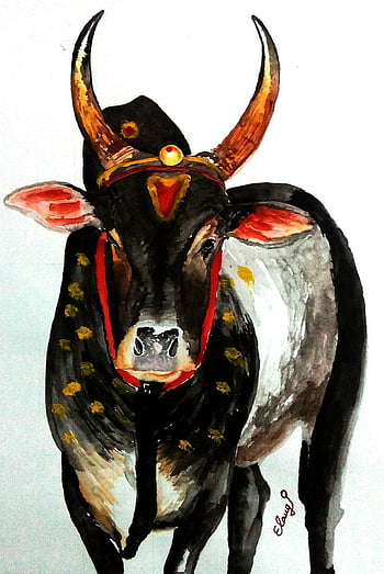 Jallikattu Drawing | Pongal Festival Jallikattu kaalai drawing | Easy Pencil  Drawing | OX Line Art - YouTube