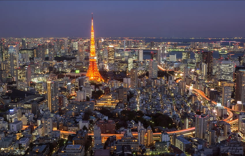 city, Tokyo, Tokyo, night for , section город -, Tokyo Night Skyline HD wallpaper