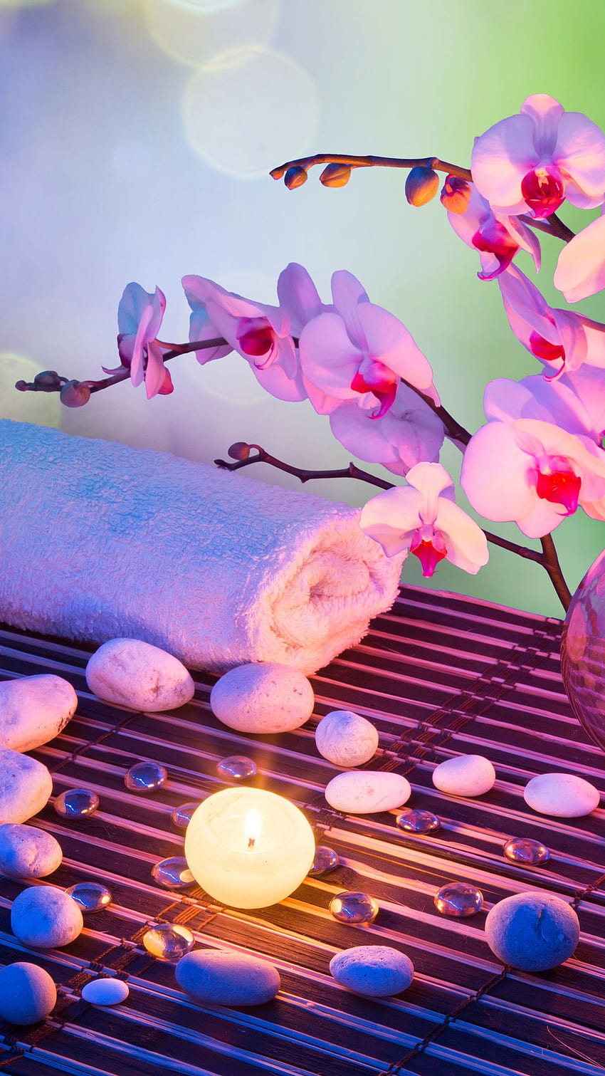 orchid, bamboo, stones, towel, flower, spa, candle 36761 HD phone wallpaper