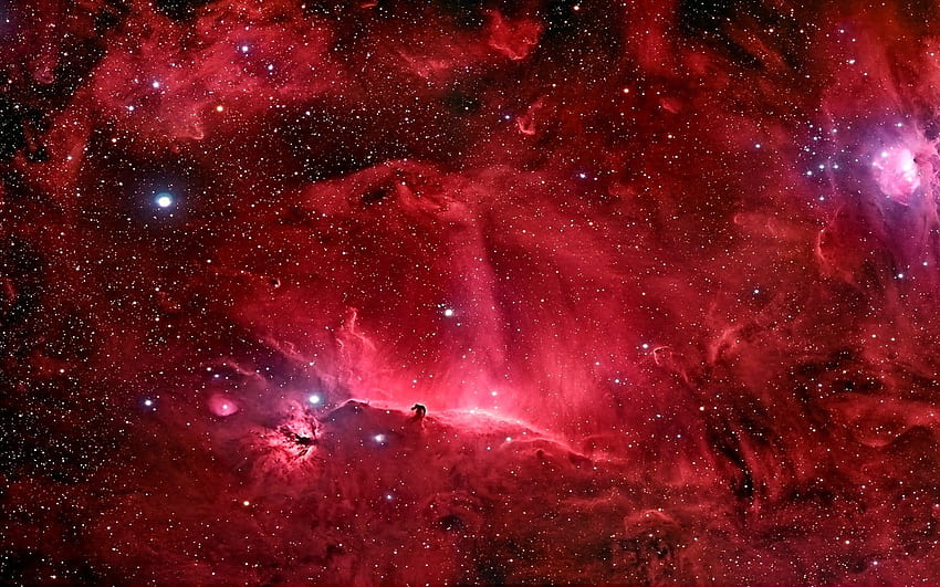 Red galaxy illustration, space, nebula, stars, Horsehead HD wallpaper