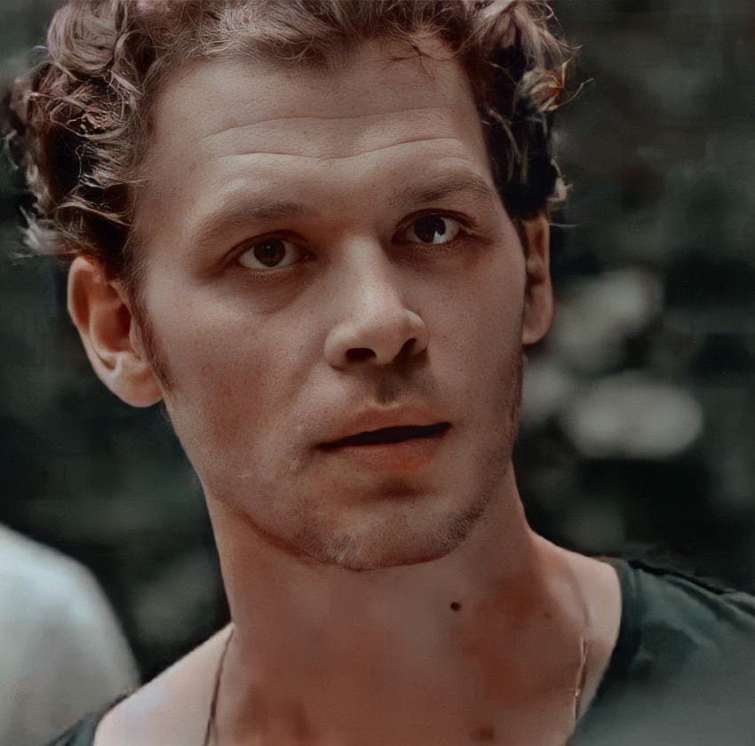 Icon Klaus Mikaelson. Klaus mikaelson, Hayley and klaus, Klaus HD wallpaper