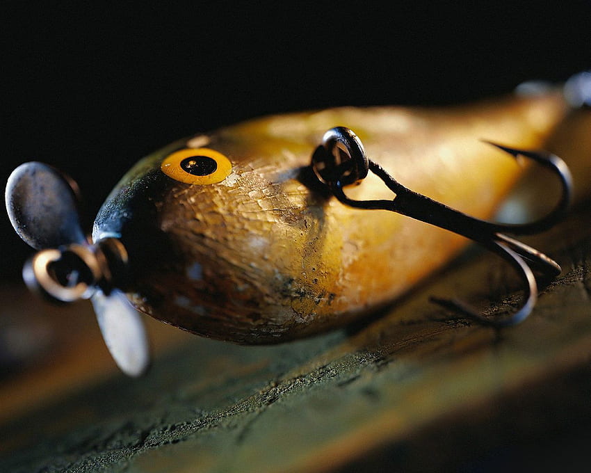 Orvis Fly Fishing - - - Tip, Kayak Fishing HD wallpaper
