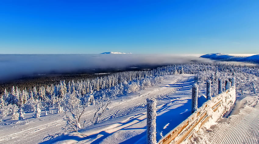 Winter, Natur, Weg, Zaun, Frost, Rauhreif HD-Hintergrundbild