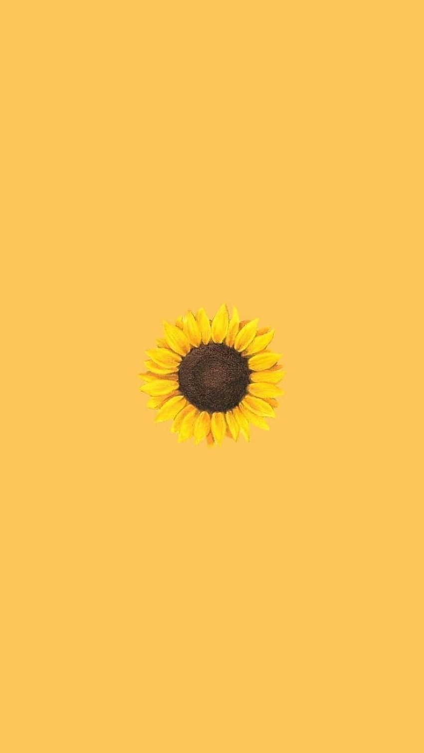 Yellow Aesthetic Sunflowers Yellow Rose Aesthetic Hd Phone Wallpaper Pxfuel 0243