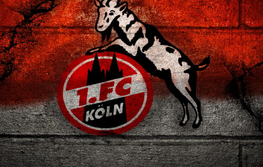 Sport Logo Football Fc Köln Koln Hd Wallpaper Pxfuel 