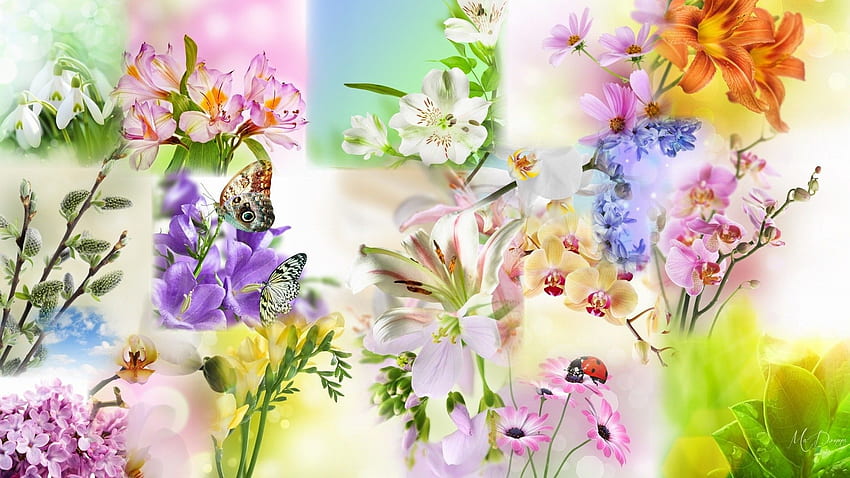 Bunga Musim Semi, Bunga Musim Semi Pastel Wallpaper HD