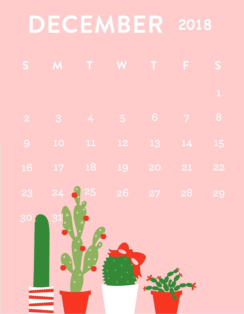 Christmas Cactus iPhone, Christmas Succulents HD phone wallpaper