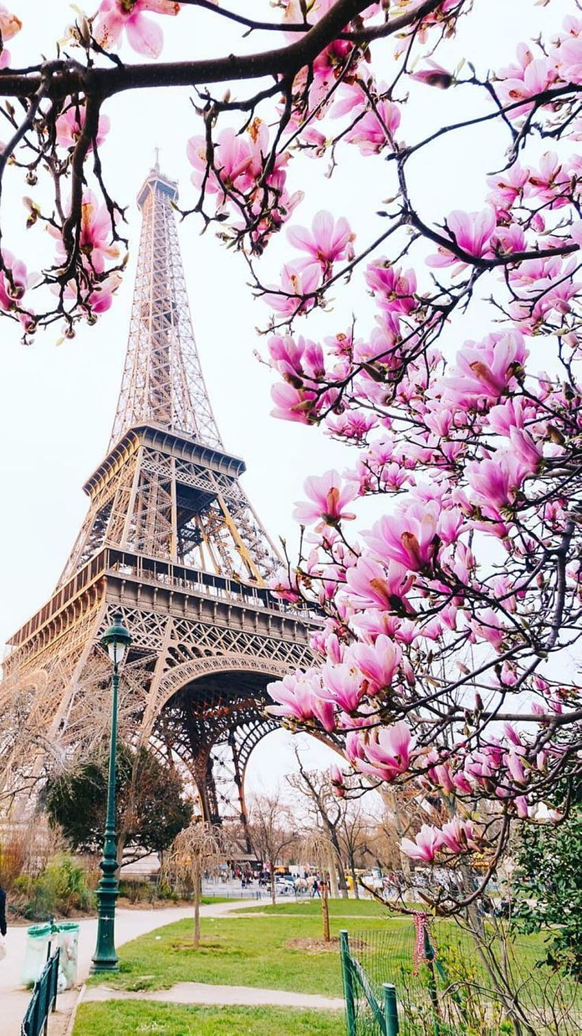 Check out the best places for ideal in Paris. Beautiful background,  Landscape , Paris, Paris in Spring HD phone wallpaper | Pxfuel