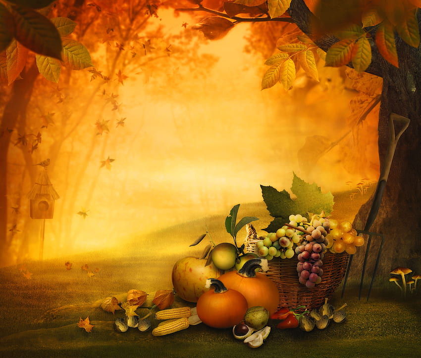 Thanksgiving Background, Autumn Thanksgiving HD wallpaper | Pxfuel