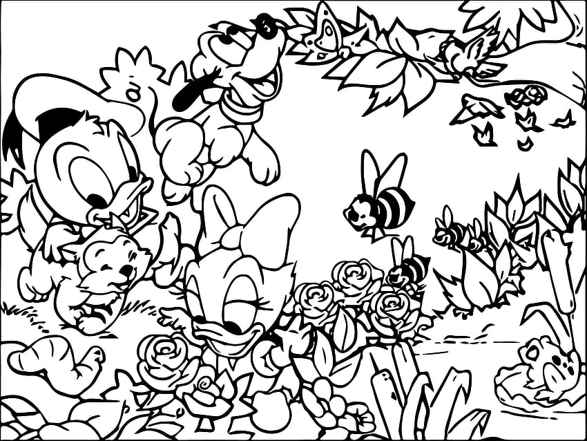 Coloring Pages : Coloring Donald Duck, Baby Donald Duck HD wallpaper