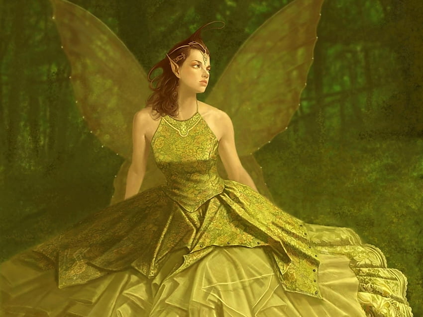 Entzückende Fee, Flügel, Schmetterling, Mädchen, Wald, schön, Frau HD-Hintergrundbild