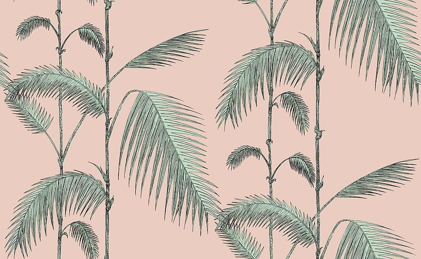 Palm Leaves, Pink Palm HD wallpaper