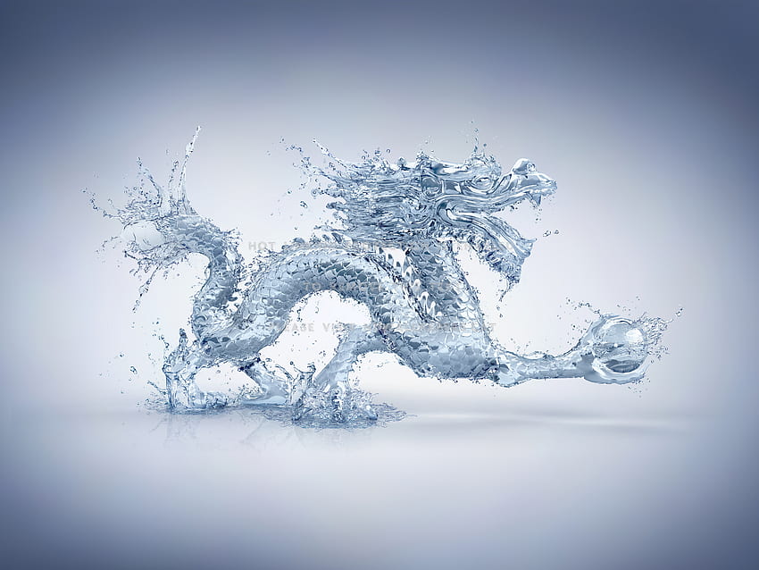 Water Dragon Feng Shui Element Clear - Chinese Elemental Water Dragon - , Water Elemental HD wallpaper