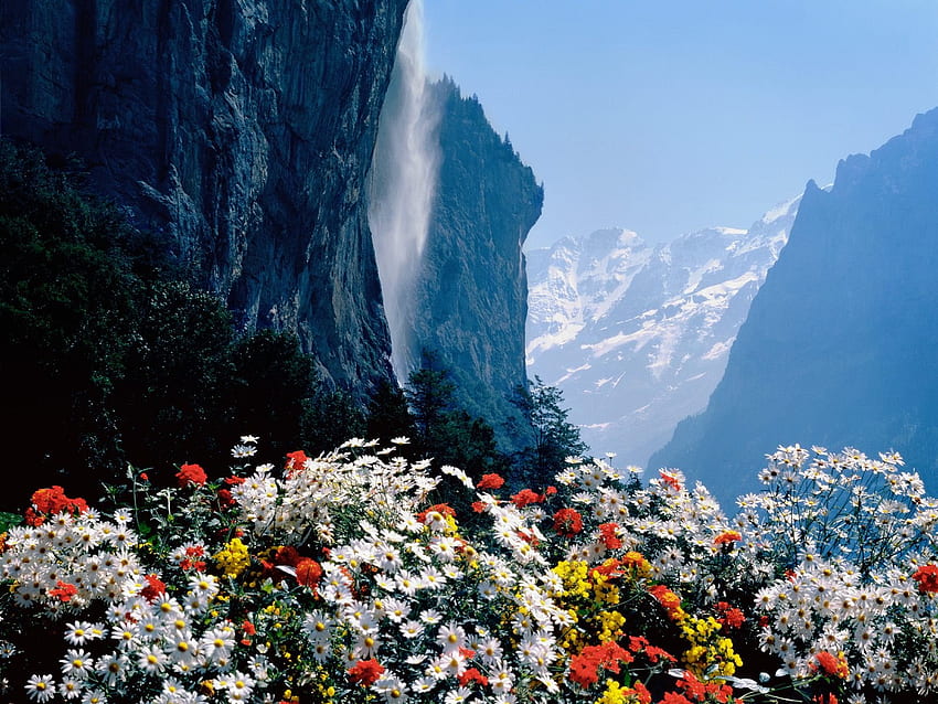 staubbach waterfall switzerland, waterfalls, flowers, mountain HD wallpaper