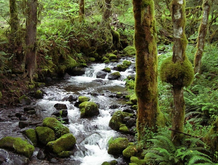 Kaskadowy górski potok, przyroda, kaskada Tapeta HD