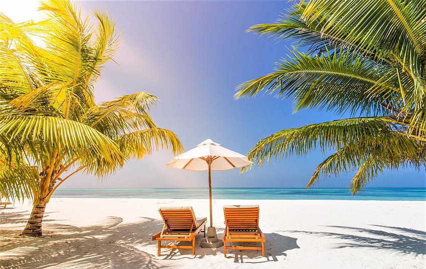 tropical beach, parasol, beach beds, beach, palm trees HD wallpaper