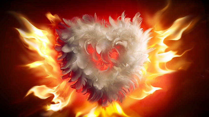 Heart, Feathers, Fire, Flames, Valentine's Day - Love Heart HD wallpaper