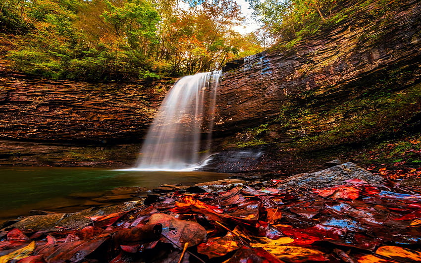 ジョージア州クラウドランドキャニオン州立公園のチェロキー滝の秋、川、葉、秋、色、木、カスケード、岩、アメリカ 高画質の壁紙
