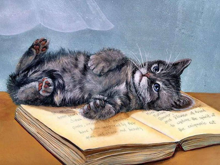 Bilgi Dünyası, yavru kedi, masa, kitap, bilgi, şirin, abajur HD duvar kağıdı