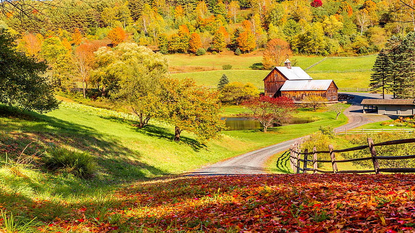 Autumn in New England, Vermont, house, fall, peaceful, beautiful, mountain, New England, autumn, road, village, countryside, foliage HD wallpaper