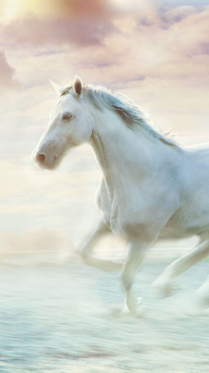 White Horse Running, Water, Art IPhone 8 7 6 6S HD phone wallpaper ...