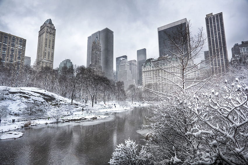 Central Park, winter, Manhattan, trees, skyscrapers, New, Winter in Central Park New York HD wallpaper