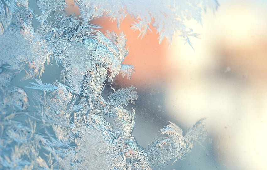 ice, winter, ice, winter, frosty pattern for , section макро HD wallpaper