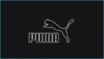 Puma Animal HD wallpaper | Pxfuel