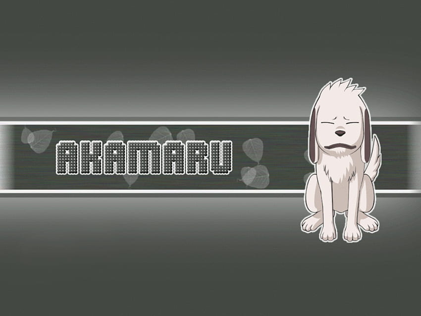 Akamaru, tv show, anime HD wallpaper