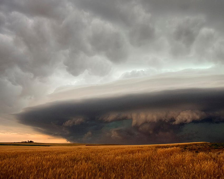 Cumulonimbus Cloud Nebraska, fuerza, trigo, campo, nube fondo de pantalla