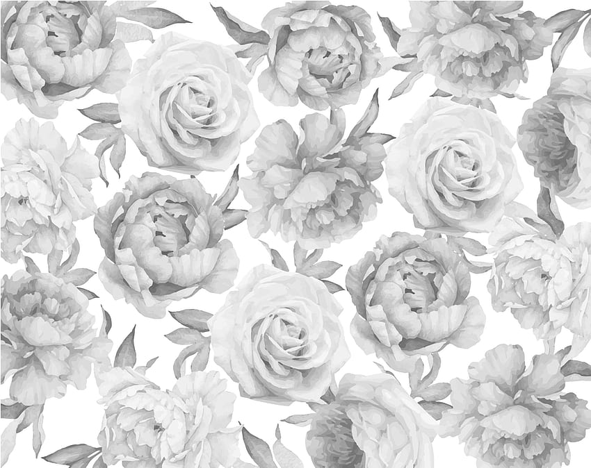 Peonies & Roses Black & White, Black and White Peony HD wallpaper