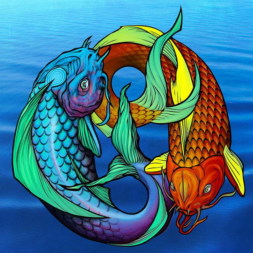 Koi Fish Pisces Ying Yang HD phone wallpaper