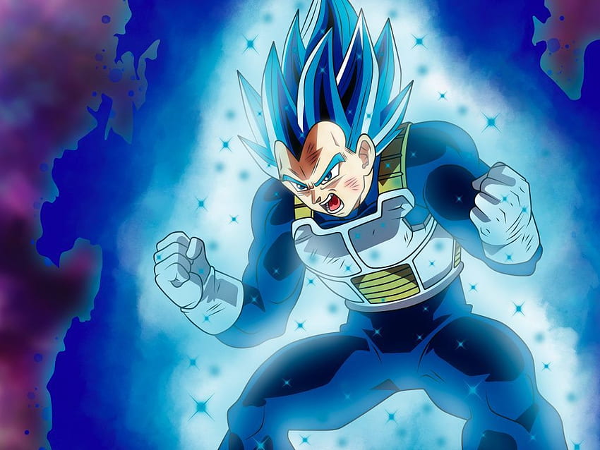 Vegeta, Dragall Ball Super, Anime Girl, Blue Hair, Vegeta Epic HD wallpaper