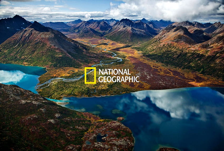 National Geographic, лого на National Geographic HD тапет