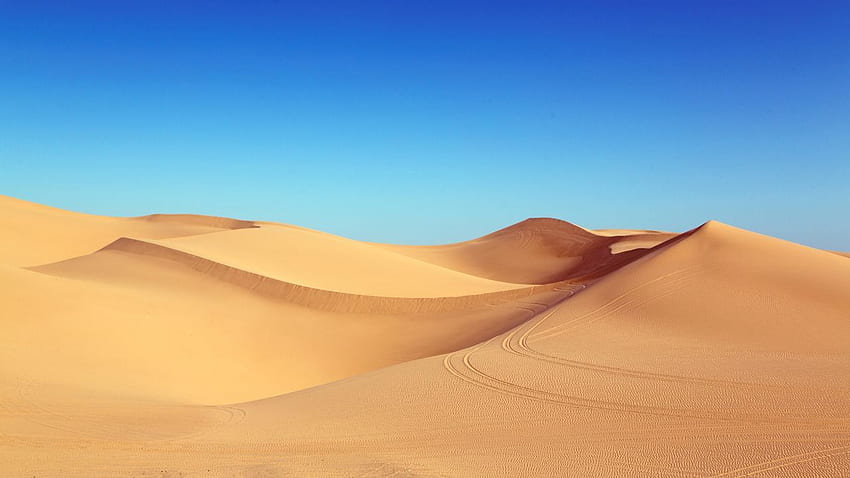 desert, , , , sand, algodones dunes (horizontal). Sand dunes, Dune, Desert ecosystem, Sahara HD wallpaper