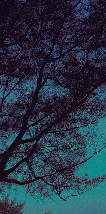 Wallpaper Estilo Tumblr para o seu Celular – Colorindo Nuvens