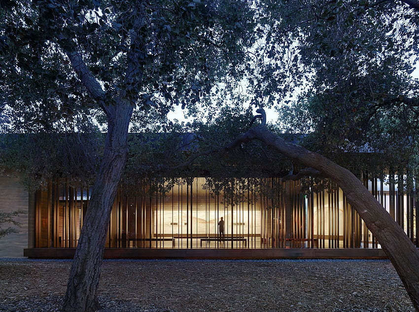 Windhover Contemplative Center / Aidlin Darling Design. Architektur , Universitätsarchitektur, Architektur, Stanford University HD-Hintergrundbild