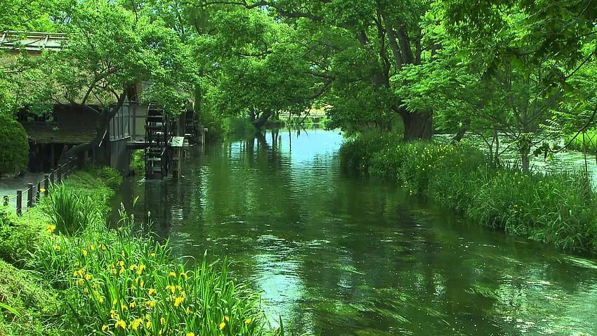 Relajante naturaleza lming río sonidos. Naturaleza, Naturaleza calmante fondo de pantalla