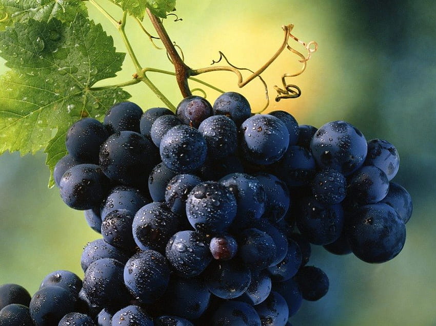 Anggur, musim panas, alam, buah-buahan, makanan Wallpaper HD