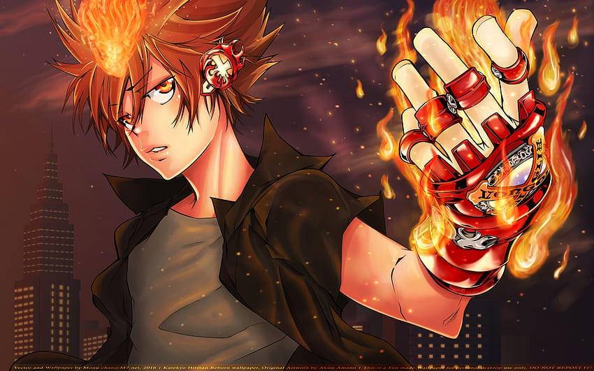 Katekyo Hitman Reborn! : Fiery Will, Hitman Reborn Tsuna HD wallpaper
