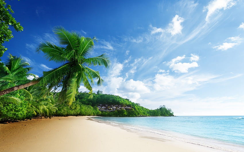 Nature scenery sea beach sky clouds palm trees ocean tropical HD ...