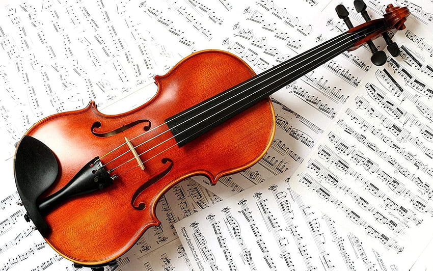 Buy Avikalp Exclusive Awi3332 Violin Musical Instument Full (6 x 5 ft) Online at Low Prices in India, Fiddle HD wallpaper