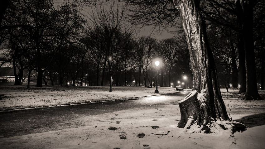 inverno in un parco di nyc di notte, inverno, bianco e nero, lampioni, alberi, strada, parco Sfondo HD
