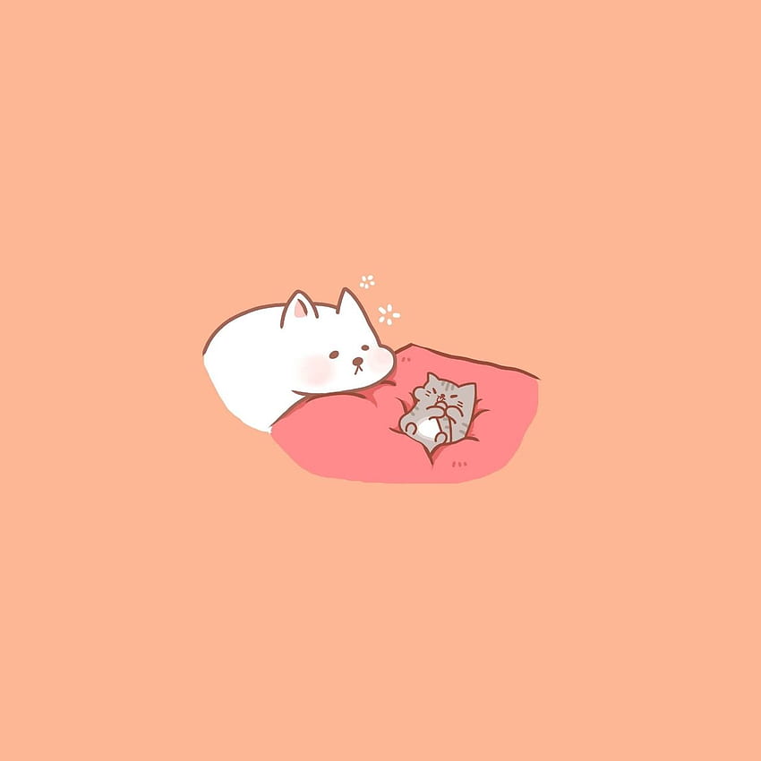 KIMCHI, Cute Kawaii HD phone wallpaper | Pxfuel