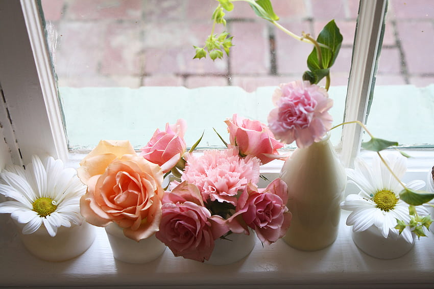 FLOWERS FOR FRIENDS AT D N, ゴージャス, 美しい, 花瓶, 素敵 高画質の壁紙