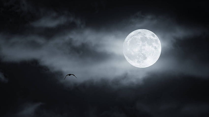 Terbangkan saya ke bulan. Bulan, Hamparan digital, Pierre Wallpaper HD