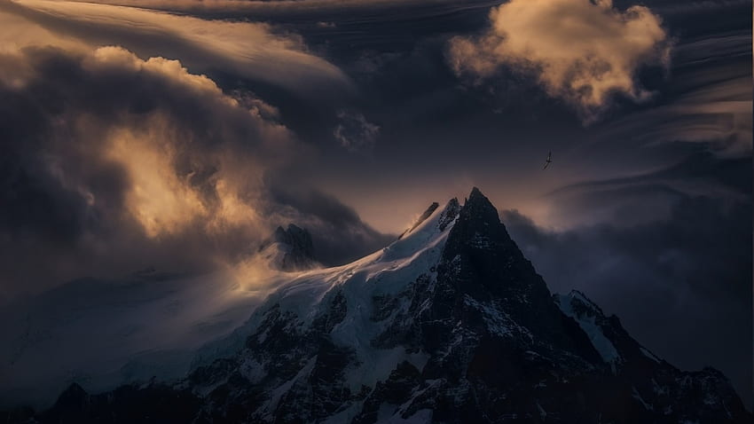 condor gliding over mountain peak, bird, snow, sundown, clouds, peak, mountain HD wallpaper